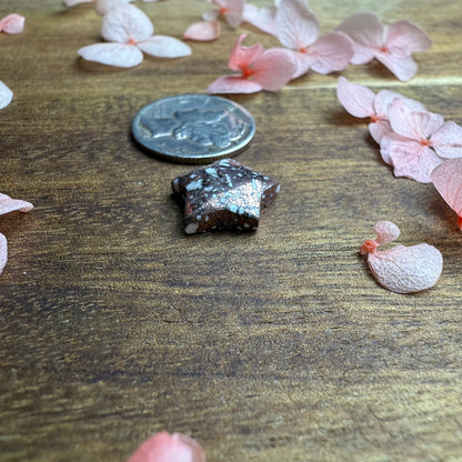 Copper Firebrick Cabochon - approx. 12 x 12 x 3.7 mm