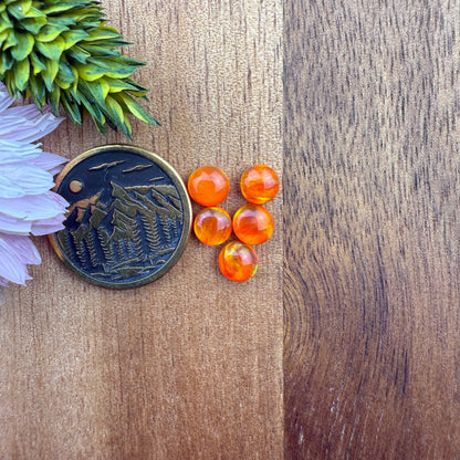 Aurora Opal Cabochon Set of 5 - approx. 5 x 5 mm