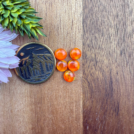Aurora Opal Cabochon Set of 5 - approx. 5 x 5 mm