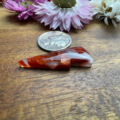 Acrylic Cabochon - approx. 30 x 10 x 4.7 mm