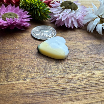 Acrylic Cabochon - approx. 17 x 17 x 5.2 mm