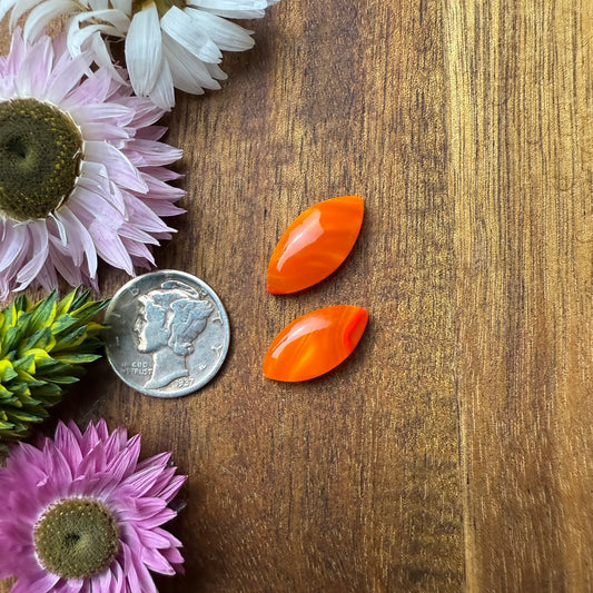 Acrylic Cabochon Set of 2 - Mixed Size