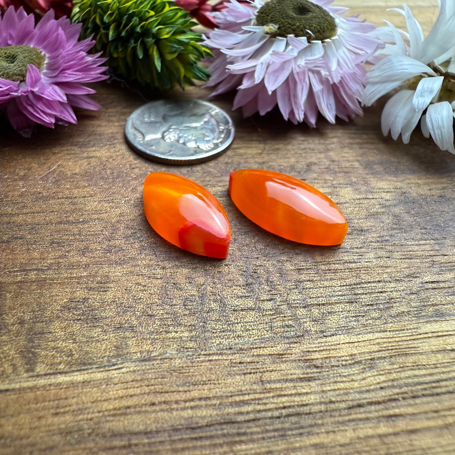 Acrylic Cabochon Set of 2 - Mixed Size