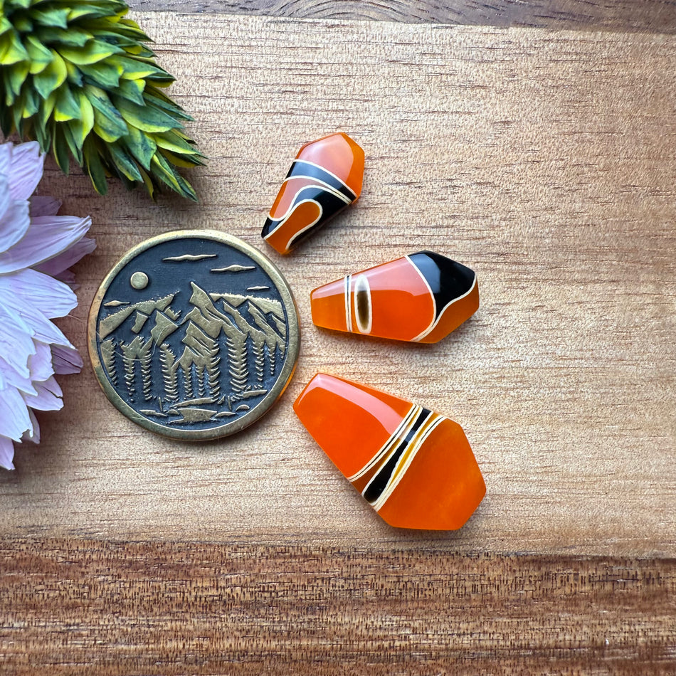 Pre-Order Acrylic Cabochon