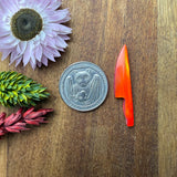 Pre-Order Aurora Opal Cabochon