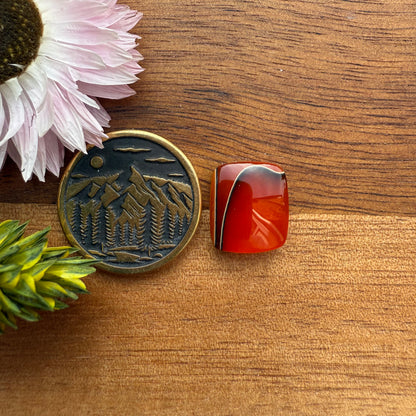 Acrylic Cabochon - approx. 12 x 11 x 4.1 mm