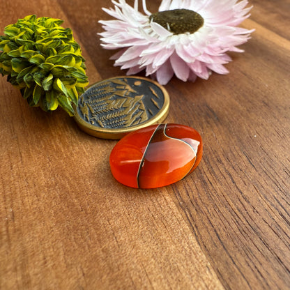 Acrylic Cabochon - approx. 16 x 12 x 4.3 mm
