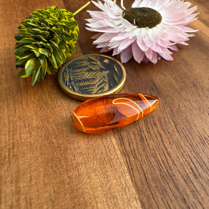 Acrylic Cabochon - approx. 22 x 9 x 4 mm