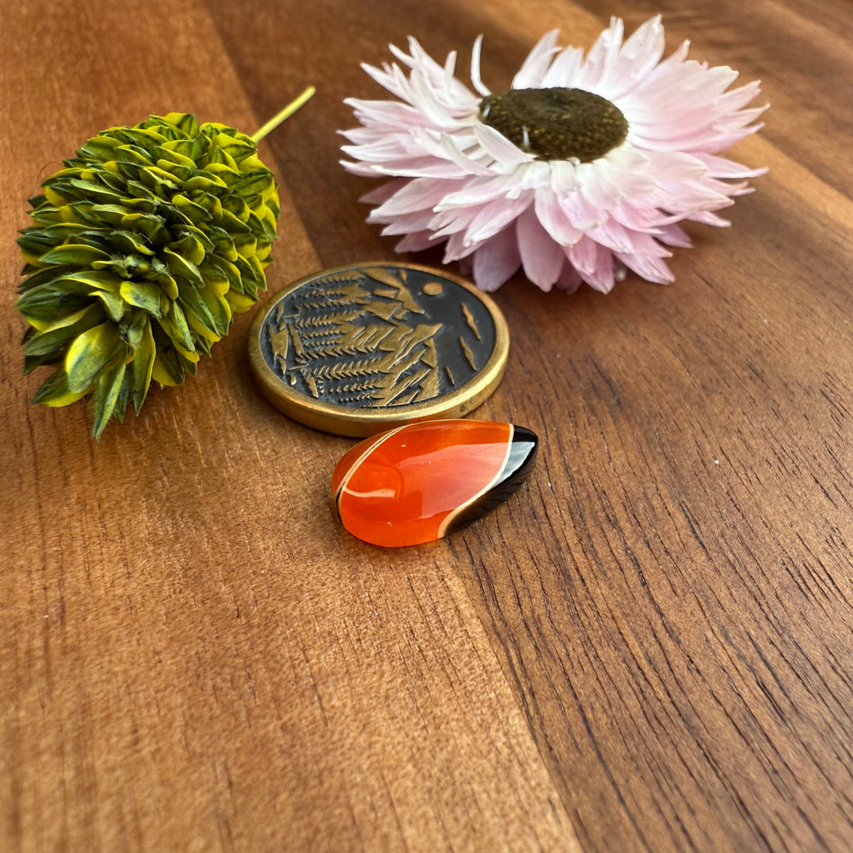 Acrylic Cabochon - approx. 14 x 8 x 3.6 mm