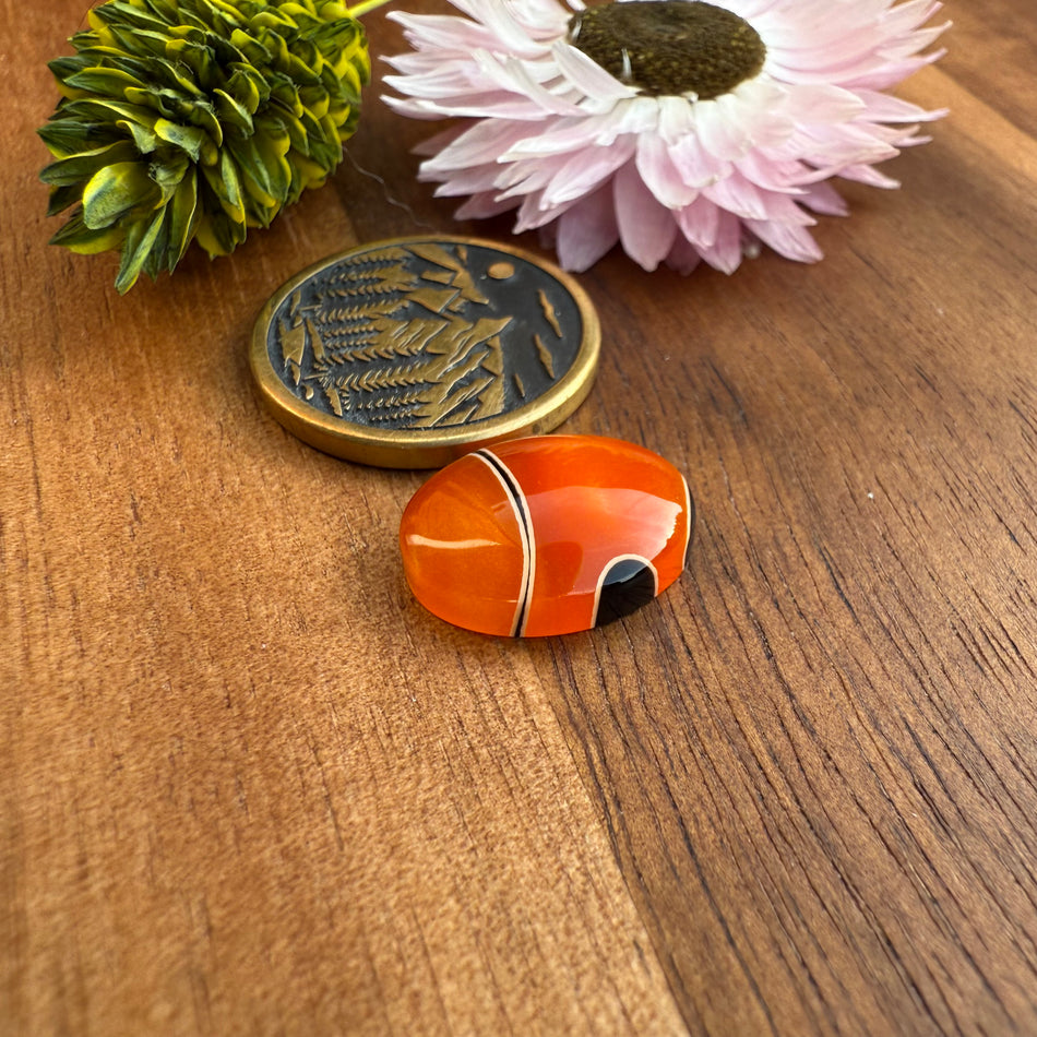 Acrylic Cabochon - approx. 14 x 11 x 4 mm