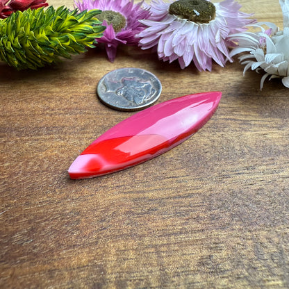 Acrylic Cabochon - approx. 44 x 12 x 5 mm