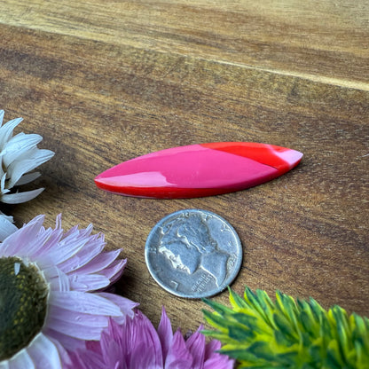 Acrylic Cabochon - approx. 44 x 12 x 5 mm