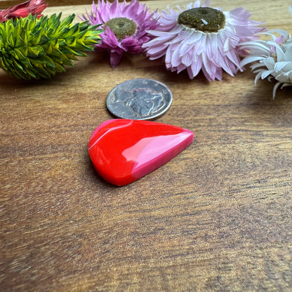 Acrylic Cabochon - approx. 23 x 17 x 5.3 mm