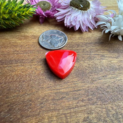 Acrylic Cabochon - approx. 17 x 17 x 5 mm