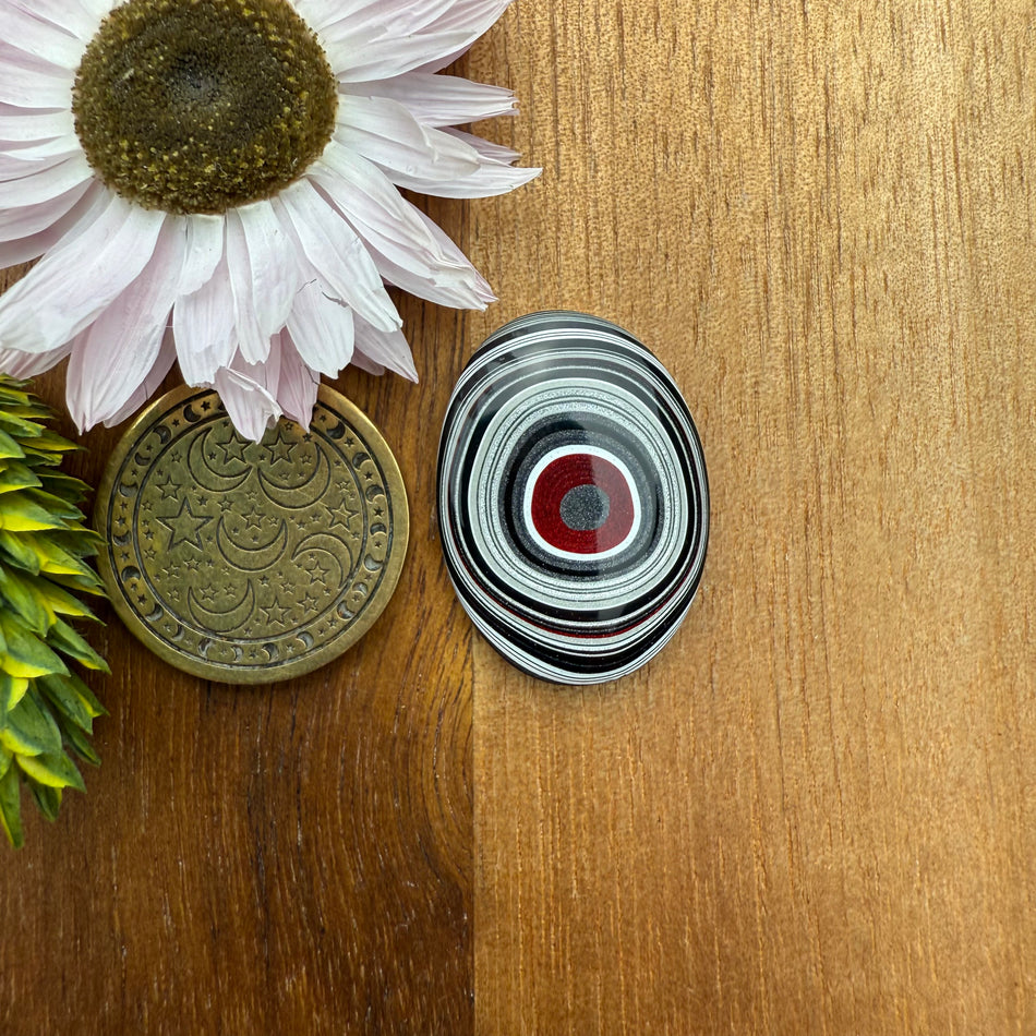 Fordite Cabochon - approx. 24 x 17 x 4.1 mm