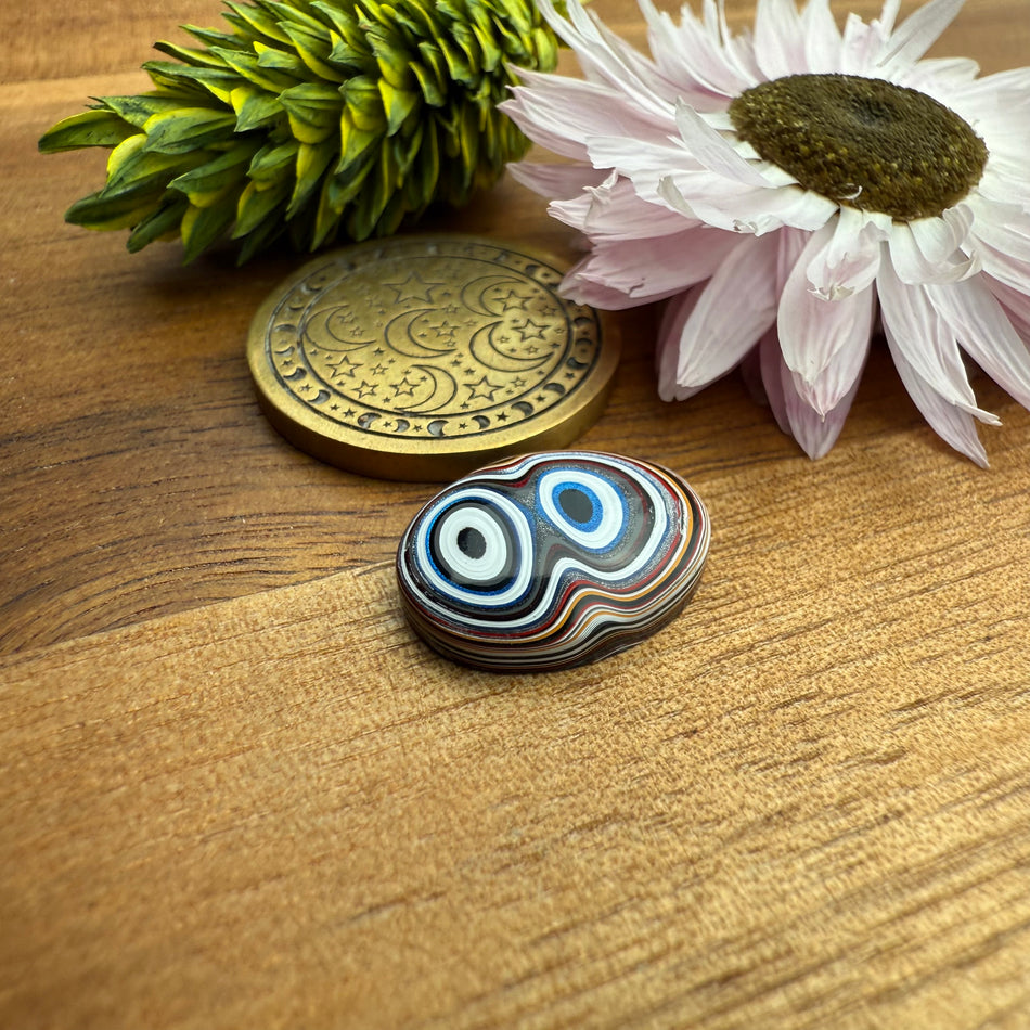 Fordite Cabochon - approx. 14 x 12 x 3.6 mm
