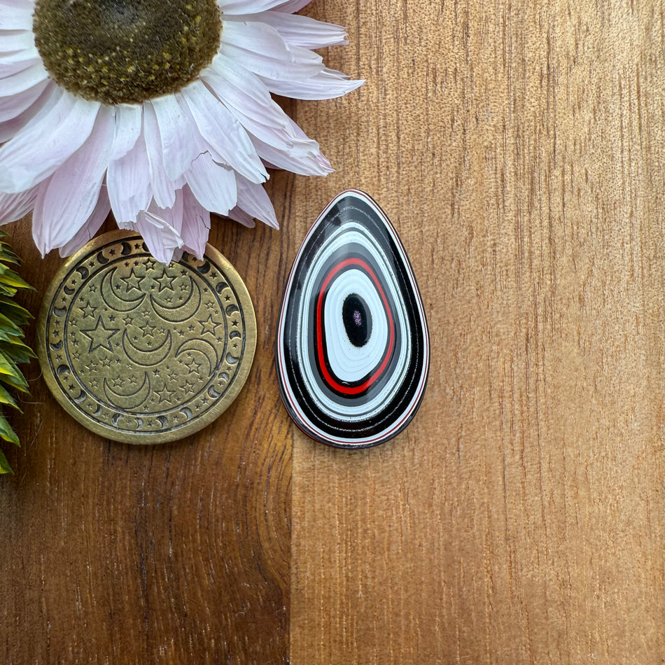 Fordite Cabochon - approx. 23 x 14 x 4.3 mm