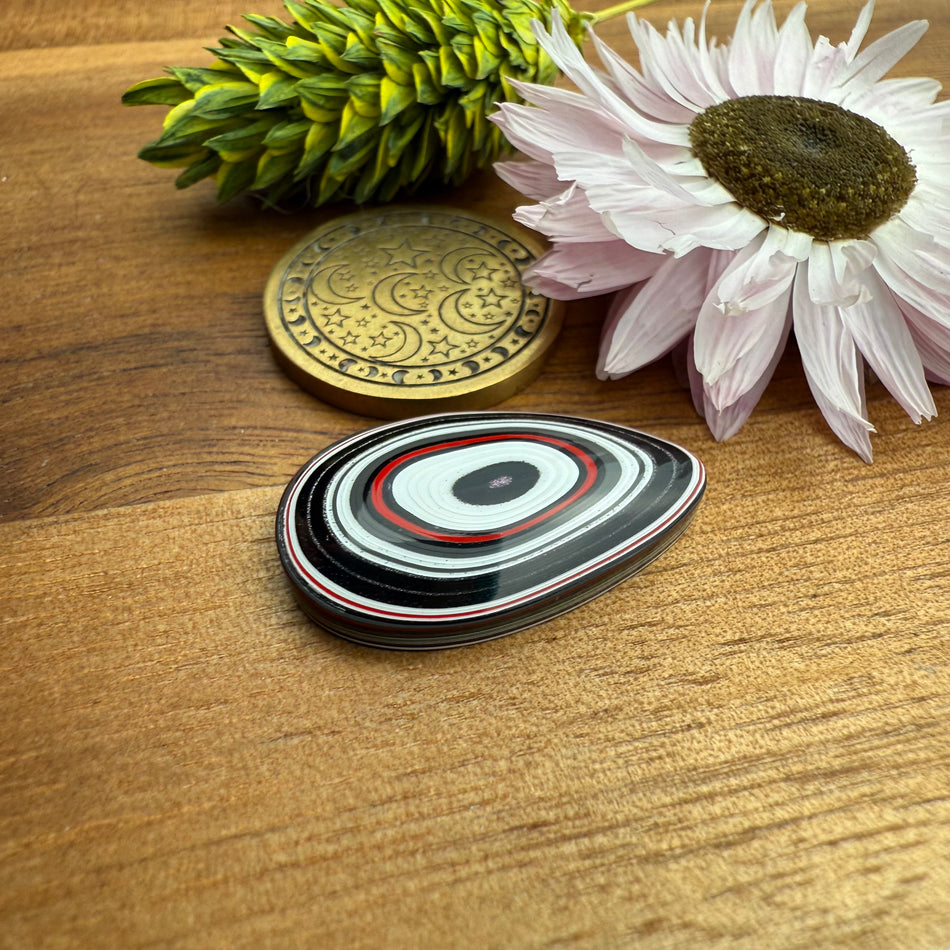 Fordite Cabochon - approx. 23 x 14 x 4.3 mm