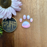 Pre-Order Aurora Opal Cabochon Set of 5