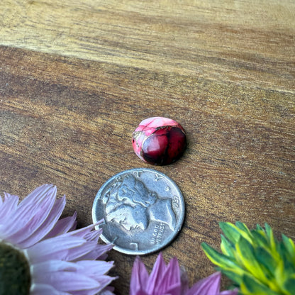 Kingman Composite Cabochon - approx. 12 x 12 x 5.2 mm