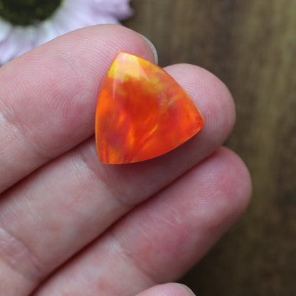 Aurora Opal Cabochon - approx. 17 x 17 x 4.6 mm