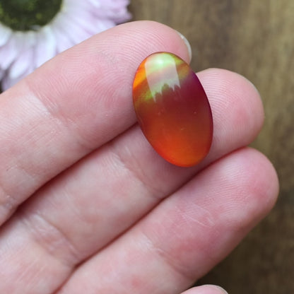 Aurora Opal Cabochon - approx. 19 x 11 x 5 mm